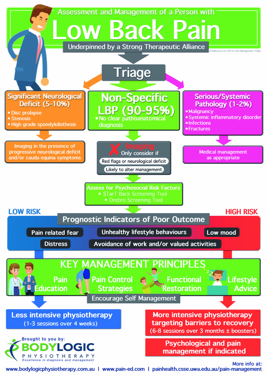 Getting back pain assessed and managed | Body Logic